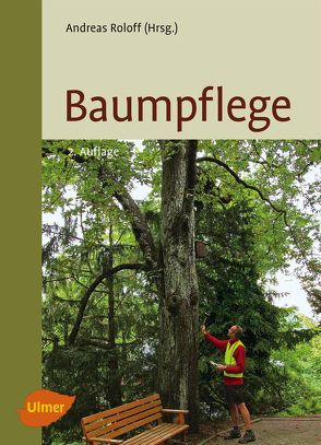 Baumpflege von Roloff,  Andreas