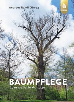 Baumpflege von Roloff,  Andreas