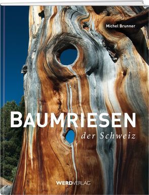 Baumriesen der Schweiz von Brunner,  Michel, Hübscher,  André