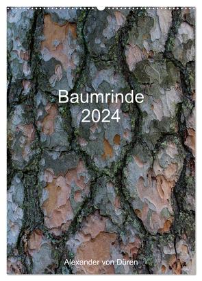 Baumrinde 2024 (Wandkalender 2024 DIN A2 hoch), CALVENDO Monatskalender von von Düren,  Alexander