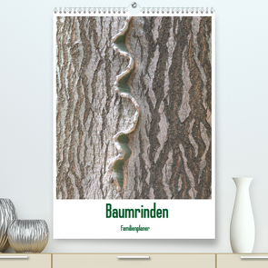 Baumrinden (Premium, hochwertiger DIN A2 Wandkalender 2022, Kunstdruck in Hochglanz) von Hegerfeld-Reckert,  Anneli