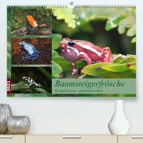 Baumsteigerfrösche. Pfeilgiftfrösche – gefährlich schön (Premium, hochwertiger DIN A2 Wandkalender 2023, Kunstdruck in Hochglanz) von Mielewczyk,  B.