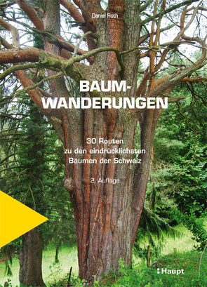 Baumwanderungen von Roth,  Daniel