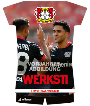 Bayer 04 Leverkusen 2022 Trikotkalender – Fußball-Kalender – Wand-Kalender – Fan-Kalender – 34,1×42 – Sport