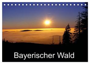 Bayerischer Wald (Tischkalender 2024 DIN A5 quer), CALVENDO Monatskalender von Matheisl,  Willy