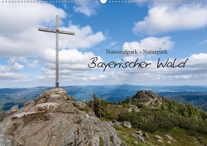 Bayerischer Wald (Wandkalender 2021 DIN A2 quer) von Vonzin,  Andreas