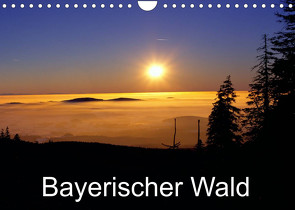 Bayerischer Wald (Wandkalender 2022 DIN A4 quer) von Matheisl,  Willy