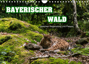 Bayerischer Wald (Wandkalender 2023 DIN A4 quer) von Thiele,  Ralf-Udo