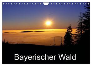 Bayerischer Wald (Wandkalender 2024 DIN A4 quer), CALVENDO Monatskalender von Matheisl,  Willy