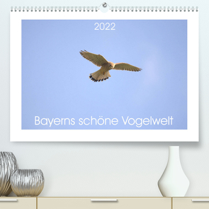 Bayerns schöne Vogelwelt (Premium, hochwertiger DIN A2 Wandkalender 2022, Kunstdruck in Hochglanz) von Andreas Lederle,  Kevin