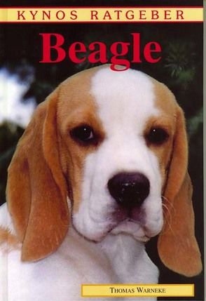 Beagle von Warneke,  Thomas