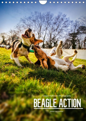 Beagle Action – Wilde Kuscheltiere (Wandkalender 2022 DIN A4 hoch) von Hartmann,  Gregor