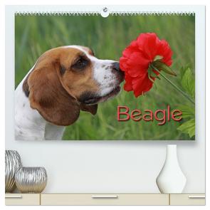 Beagle (hochwertiger Premium Wandkalender 2024 DIN A2 quer), Kunstdruck in Hochglanz von - Antje Lindert Rottke + Martina Berg,  Pferdografen.de