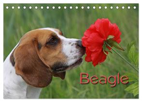 Beagle (Tischkalender 2024 DIN A5 quer), CALVENDO Monatskalender von - Antje Lindert Rottke + Martina Berg,  Pferdografen.de