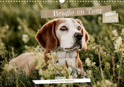 Beagle – Unser treuer Begleiter (Wandkalender 2023 DIN A3 quer) von Lea-Isabelle