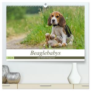 Beaglebabys auf Entdeckungstour (hochwertiger Premium Wandkalender 2024 DIN A2 quer), Kunstdruck in Hochglanz von Teßen,  Sonja