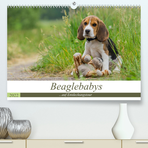 Beaglebabys auf Entdeckungstour (Premium, hochwertiger DIN A2 Wandkalender 2022, Kunstdruck in Hochglanz) von Teßen,  Sonja