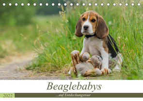 Beaglebabys auf Entdeckungstour (Tischkalender 2022 DIN A5 quer) von Teßen,  Sonja