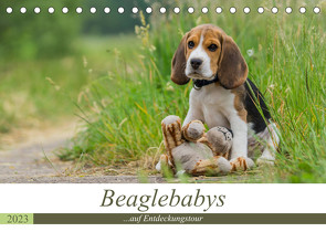 Beaglebabys auf Entdeckungstour (Tischkalender 2023 DIN A5 quer) von Teßen,  Sonja