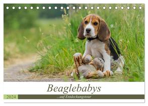 Beaglebabys auf Entdeckungstour (Tischkalender 2024 DIN A5 quer), CALVENDO Monatskalender von Teßen,  Sonja