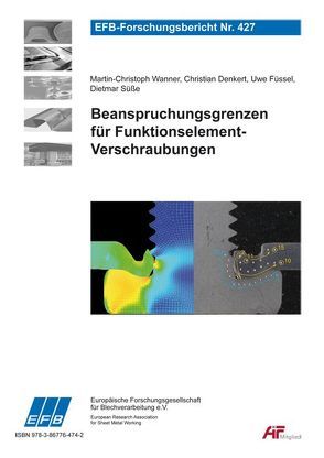 Beanspruchungsgrenzen für Funktionselement-Verschraubungen von Denkert,  Christian, Füssel,  Uwe, Süße ,  Dietmar, Wanner,  Martin-Christoph