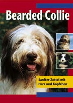 Bearded Collie von Baumgart,  Liesel