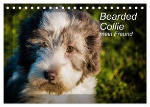 Bearded Collie, mein Freund (Tischkalender 2024 DIN A5 quer), CALVENDO Monatskalender von Redl,  Ula