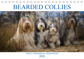 BEARDED COLLIES 2020 (Tischkalender 2020 DIN A5 quer) von Mirsberger,  Annett, www.tierpfoto.de