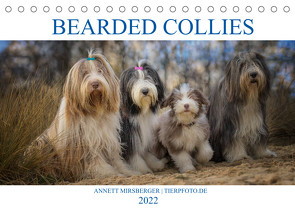 BEARDED COLLIES 2022 (Tischkalender 2022 DIN A5 quer) von Mirsberger,  Annett, www.tierpfoto.de