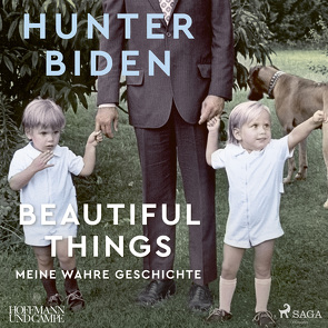 Beautiful Things von Biden,  Hunter, Hinz,  Matthias