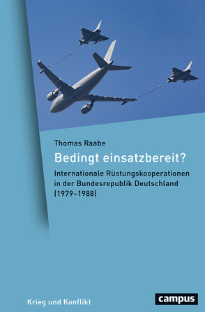 Bedingt einsatzbereit? von Raabe,  Thomas