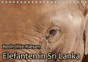 Bedrohte Riesen – Elefanten in Sri Lanka (Tischkalender 2019 DIN A5 quer) von Sobottka,  Joerg