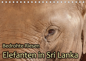 Bedrohte Riesen – Elefanten in Sri Lanka (Tischkalender 2020 DIN A5 quer) von Sobottka,  Joerg