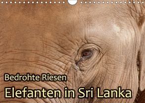 Bedrohte Riesen – Elefanten in Sri Lanka (Wandkalender 2019 DIN A4 quer) von Sobottka,  Joerg