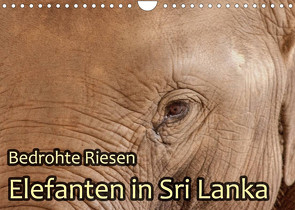 Bedrohte Riesen – Elefanten in Sri Lanka (Wandkalender 2022 DIN A4 quer) von Sobottka,  Joerg