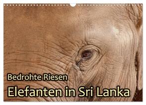 Bedrohte Riesen – Elefanten in Sri Lanka (Wandkalender 2024 DIN A3 quer), CALVENDO Monatskalender von Sobottka,  Joerg