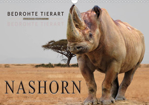 Bedrohte Tierart – Nashorn (Wandkalender 2022 DIN A3 quer) von Roder,  Peter