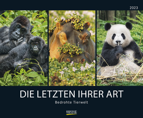 Bedrohte Tierwelt 2023 von Korsch Verlag