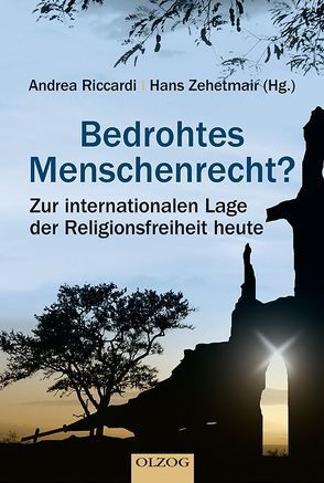 Bedrohtes Menschenrecht? von Riccardi,  Andrea, Zehetmair,  Hans