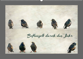 Beflügelt durch das Jahr (Wandkalender 2023 DIN A2 quer) von Hultsch,  Heike