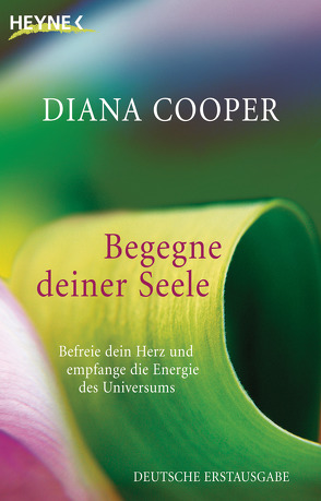 Begegne deiner Seele von Cooper,  Diana, Miethe,  Manfred