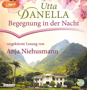 Begegnung in der Nacht von Danella,  Utta, Niehusmann,  Anja