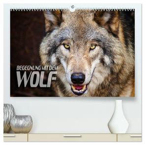 Begegnung mit dem Wolf (hochwertiger Premium Wandkalender 2024 DIN A2 quer), Kunstdruck in Hochglanz von Bleicher,  Renate