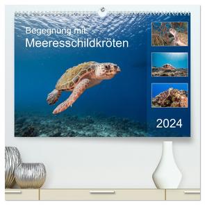 Begegnung mit Meeresschildkröten (hochwertiger Premium Wandkalender 2024 DIN A2 quer), Kunstdruck in Hochglanz von & Tilo Kühnast- naturepics,  Yvonne