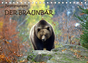 Begegnungen DER BRAUNBÄR (Tischkalender 2022 DIN A5 quer) von GUGIGEI