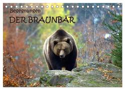 Begegnungen DER BRAUNBÄR (Tischkalender 2024 DIN A5 quer), CALVENDO Monatskalender von GUGIGEI,  GUGIGEI