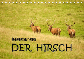 Begegnungen. DER HIRSCH (Tischkalender 2023 DIN A5 quer) von GUGIGEI