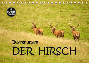 Begegnungen. DER HIRSCH (Tischkalender 2023 DIN A5 quer) von GUGIGEI