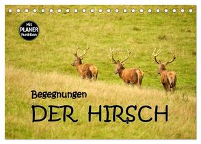 Begegnungen. DER HIRSCH (Tischkalender 2024 DIN A5 quer), CALVENDO Monatskalender von GUGIGEI,  GUGIGEI