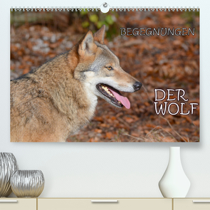 Begegnungen DER WOLF (Premium, hochwertiger DIN A2 Wandkalender 2021, Kunstdruck in Hochglanz) von GUGIGEI